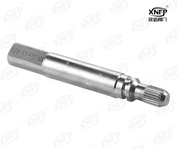 Valve Stem XN007