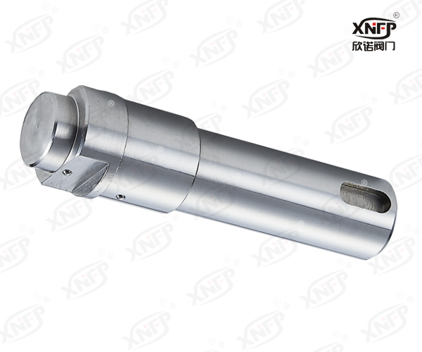 Valve Stem XN010