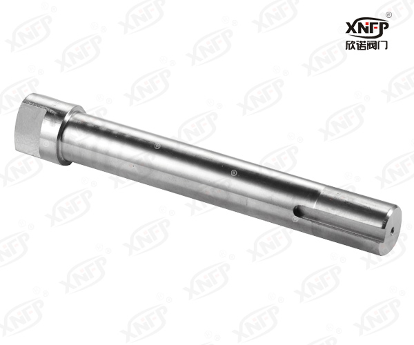 Valve Stem XN013