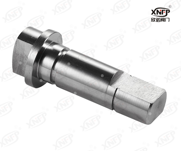 Valve Stem XN024