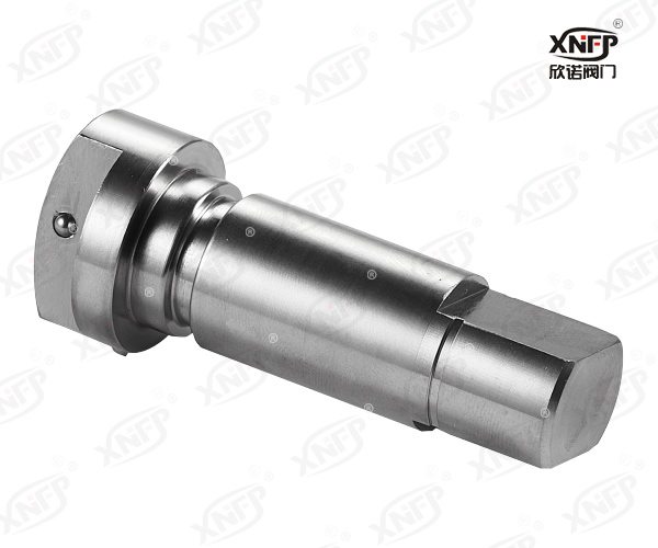 Valve Stem XN028