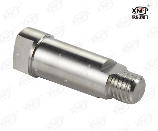 Valve Stem XN030