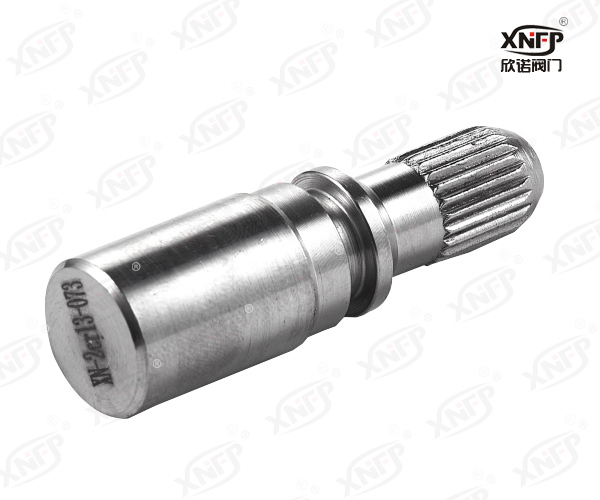 Valve Stem XN059